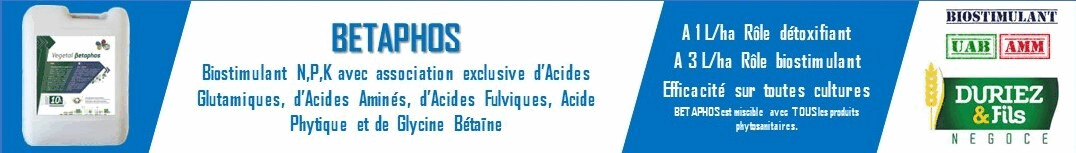 BandeauGIFI